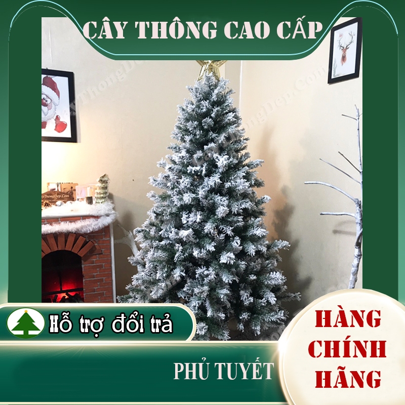 CÂY THÔNG NOEL PHỦ TUYẾT DÀY LOẠI 1 TẶNG SAO ĐỈNH ĐẾ GIẤY VÀ DÂY KIM TUYẾN