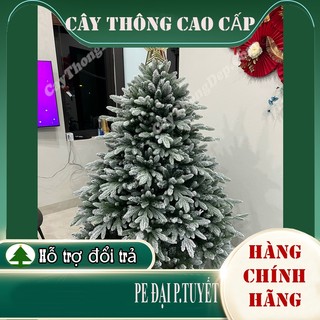 Cây thông pe đại phủ tuyết tán siêu rộng 2m - tặng sao đỉnh