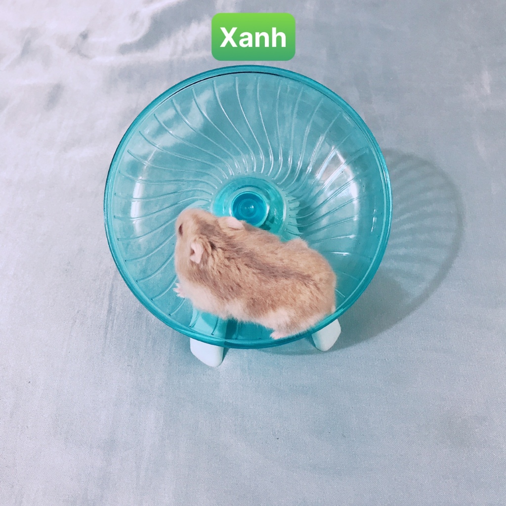 Đồ chơi cho hamster, đĩa chạy cho hamster tập thể dục