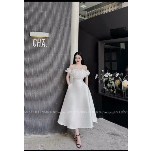 Đầm tapta sang chảnh