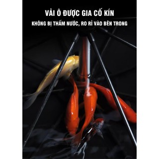 Ô - Dù che nắng GUF D5