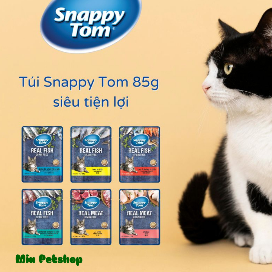 HỘP 12 GÓI PATE SNAPPY TOM CHO MÈO LỚN GÓI 85g