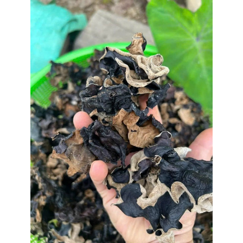 Mộc Nhĩ Rừng Túi 500g