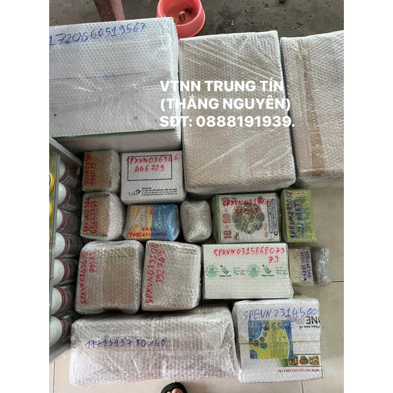 ĐẠI BÀNG MỸ gói 10gram