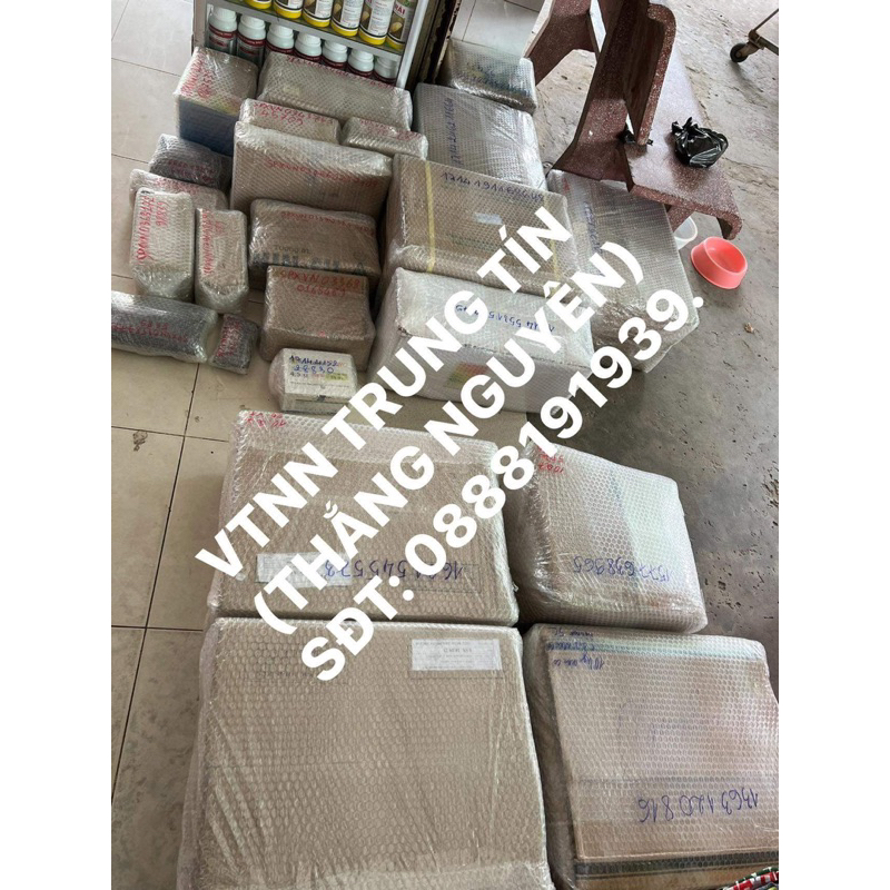 ĐẠI BÀNG MỸ gói 10gram