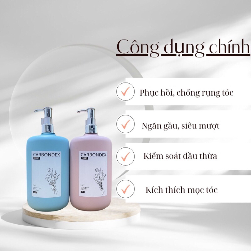 Cặp dầu gội xả Carbondex Plus 500ml hàng chính hãng