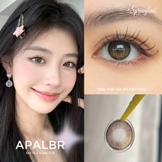 Lens mắt hiệu ứng AP ALMOND (April) style Douyin nâu hạt dẻ giãn tròng | Kính áp tròng Springlens