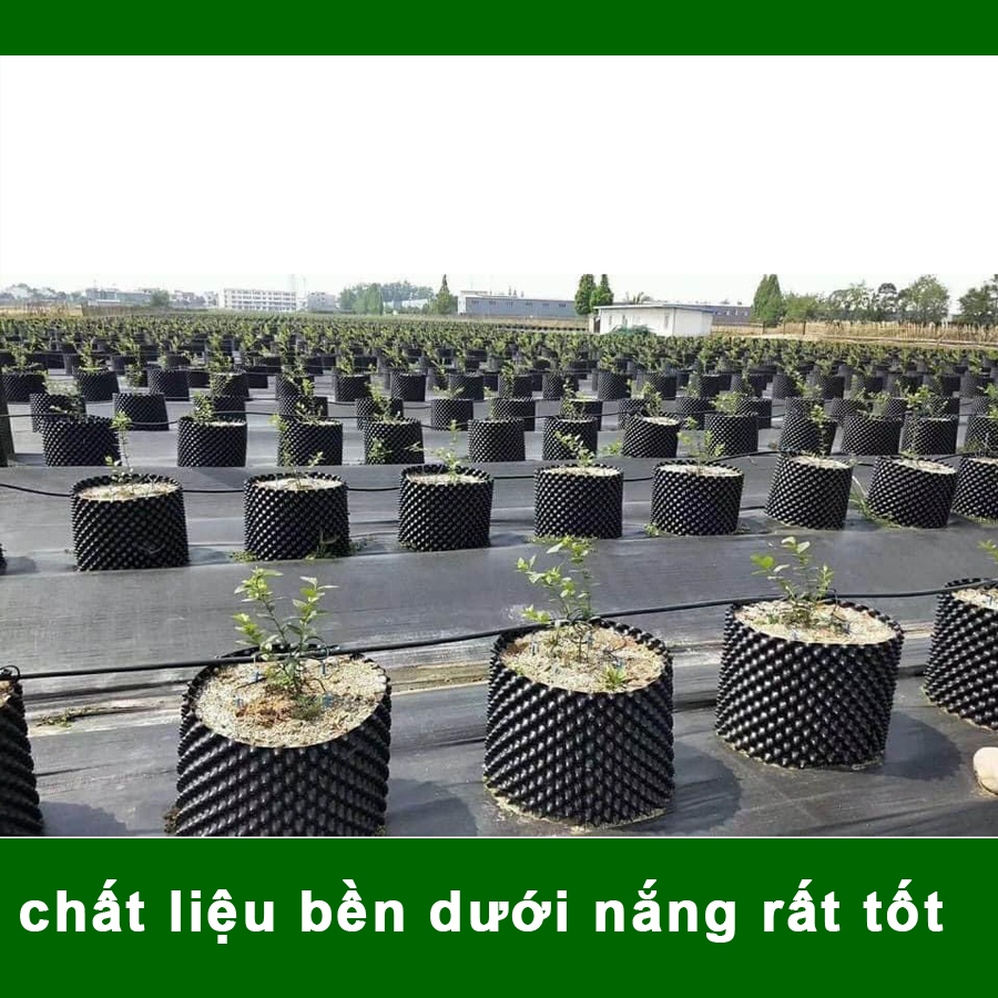 50 MÉT Bầu ươm cây V6 CAO 30CM dày 6mm, cắt theo mét dài khách đặt, tặng ốc vít-77900