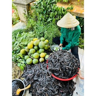 DẦU GỘI BƯỞI NON