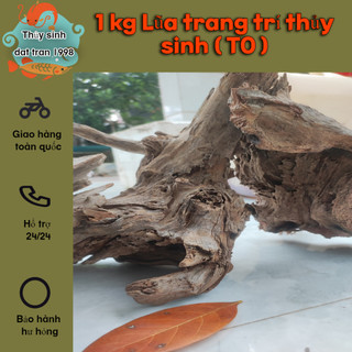 1 kg Lũa trang trí thủy sinh