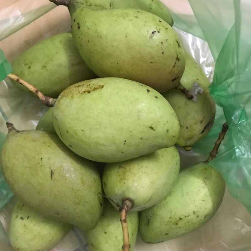 Xoài bao tử, xoài non 1kg - ship Hoả Tốc Hà Nội