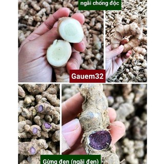 Gừng đen+ngãi chống độc 500g