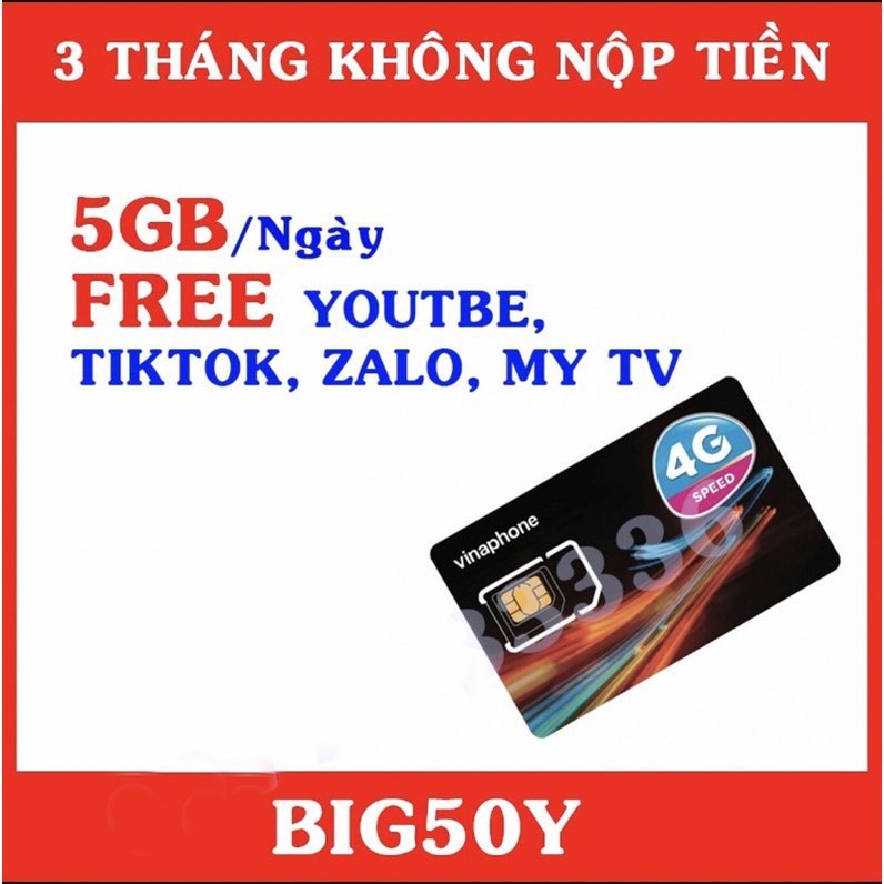 Sim 4G Vinaphone Big50y Trọn Gói 3 Tháng 5GB Data 1 Ngày Miễn Phí xem Youtube, Tik Tok, Zalo