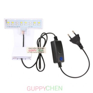 Đèn led màu kẹp XML dùng cho hồ cá thủy sinh