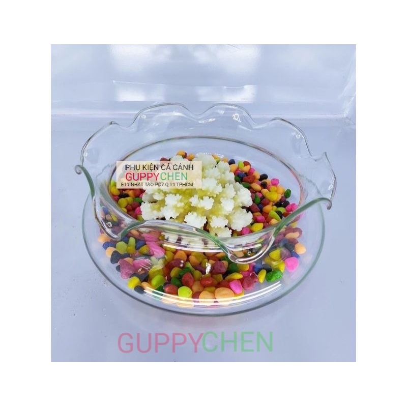 Sỏi Ngũ Sắc - Chuyên Dùng Trang Trí Bể Cá