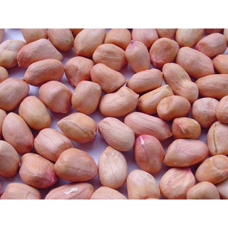 1 kg hạt lạc quê bóc tay to ngon - Shop Thái Hà