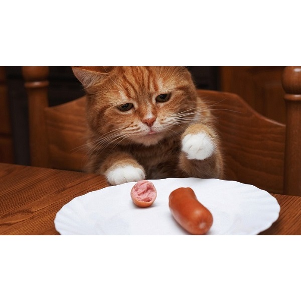 Xúc Xích Thưởng Cho Chó Mèo Kleen Cat - CM13