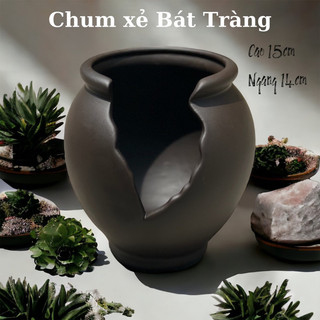Chum mimi trồng sen đá, bonsai. Gốm tử sa Bát Tràng.