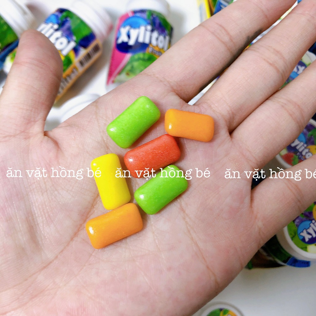 Lọ kẹo cao su Xylito mix hương trái cây