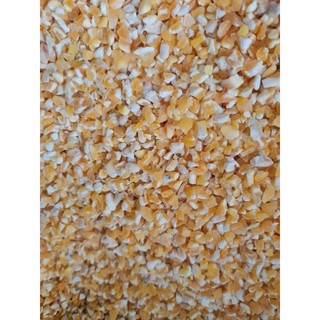 1kg bắp, ngô bể 5 cho gia cầm