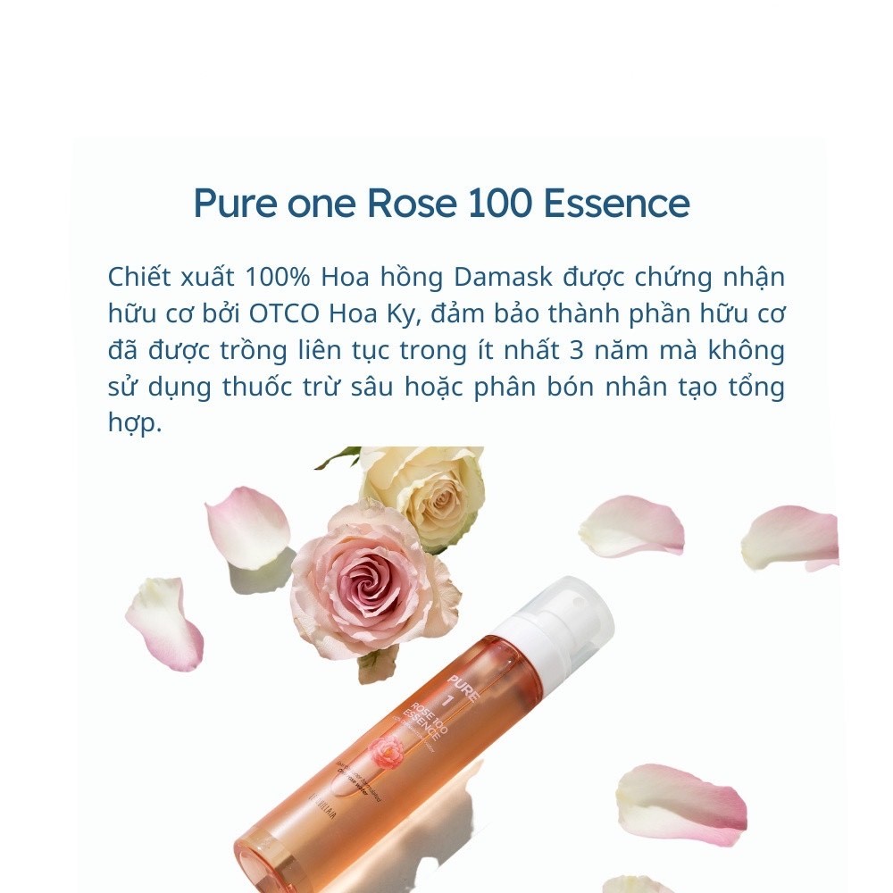[DATE 15/5/2024] Nước thần Organic 100% Hoa hồng Đan Mạch chưng cất thủ công 24h cô đặc giàu Vitamin A, C, K Le Quillaia