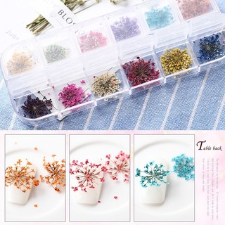 Hoa khô trang trí nail gel ẩn - Set hoa khô hoa chùm 12 màu trang trí móng tay gel ẩn