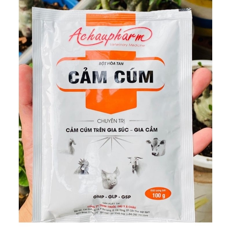 Cảm Cúm trên Gia Súc Gia Cầm