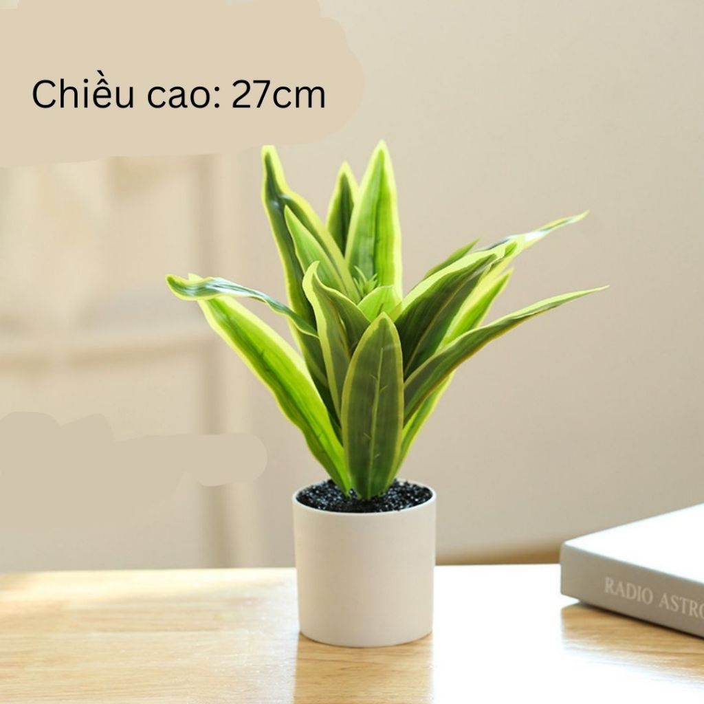 Chậu Cây Cảnh Decor, Cây Decor Trang Trí Nhà Cửa, Chậu Cây Giả Mini