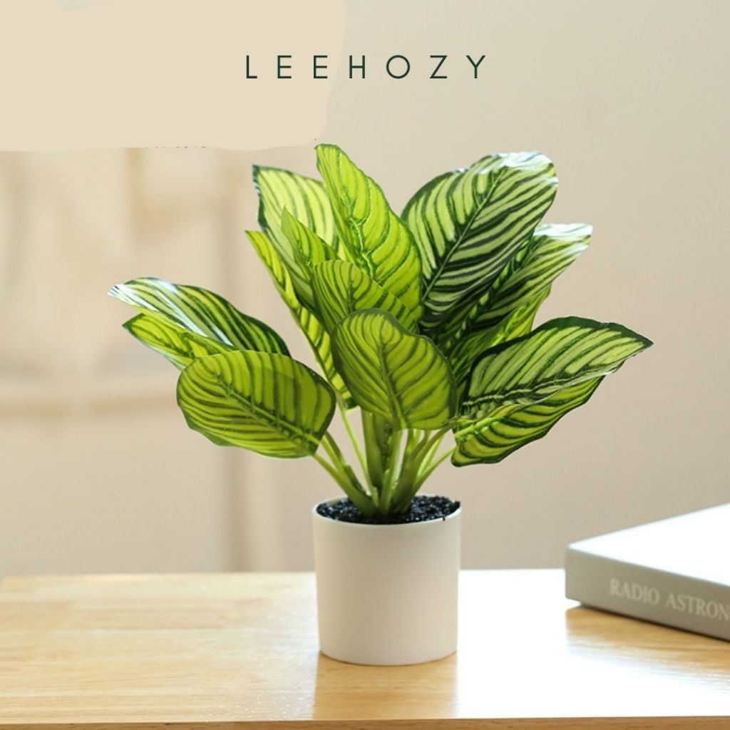 Chậu Cây Cảnh Decor, Cây Decor Trang Trí Nhà Cửa, Chậu Cây Giả Mini