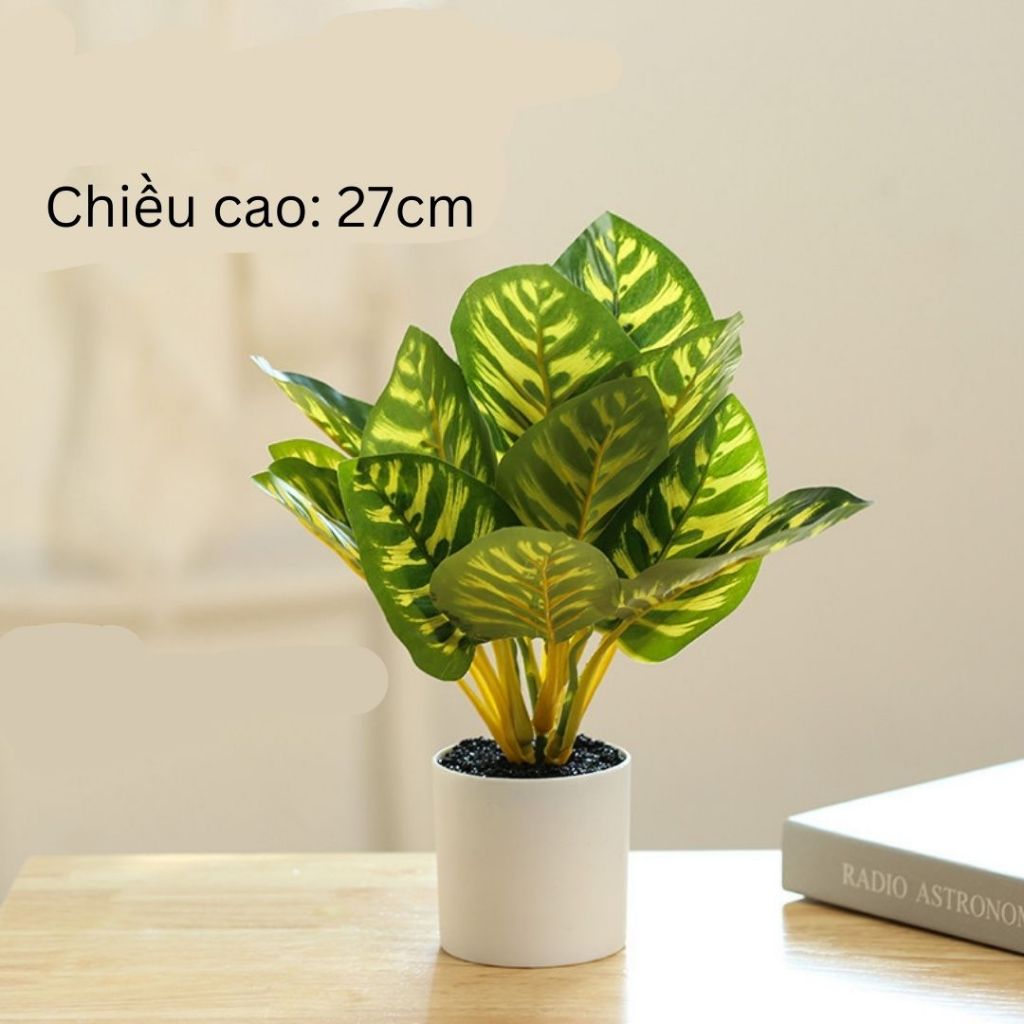 Chậu Cây Cảnh Decor, Cây Decor Trang Trí Nhà Cửa, Chậu Cây Giả Mini