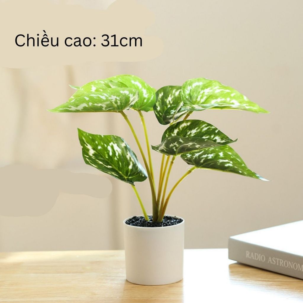 Chậu Cây Cảnh Decor, Cây Decor Trang Trí Nhà Cửa, Chậu Cây Giả Mini