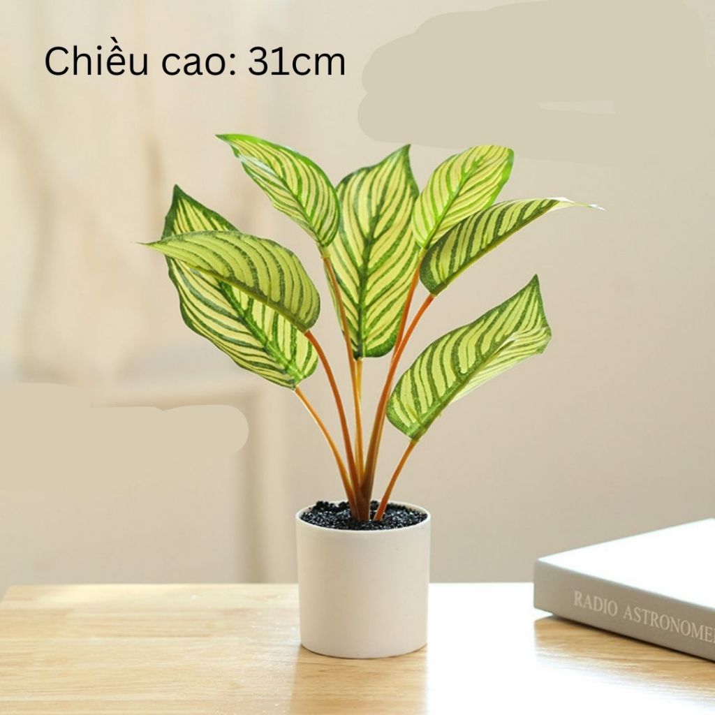Chậu Cây Cảnh Decor, Cây Decor Trang Trí Nhà Cửa, Chậu Cây Giả Mini