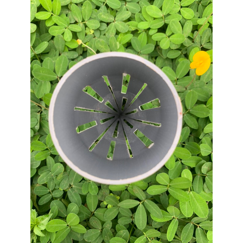 Hom lươn 60 siêu nhạy