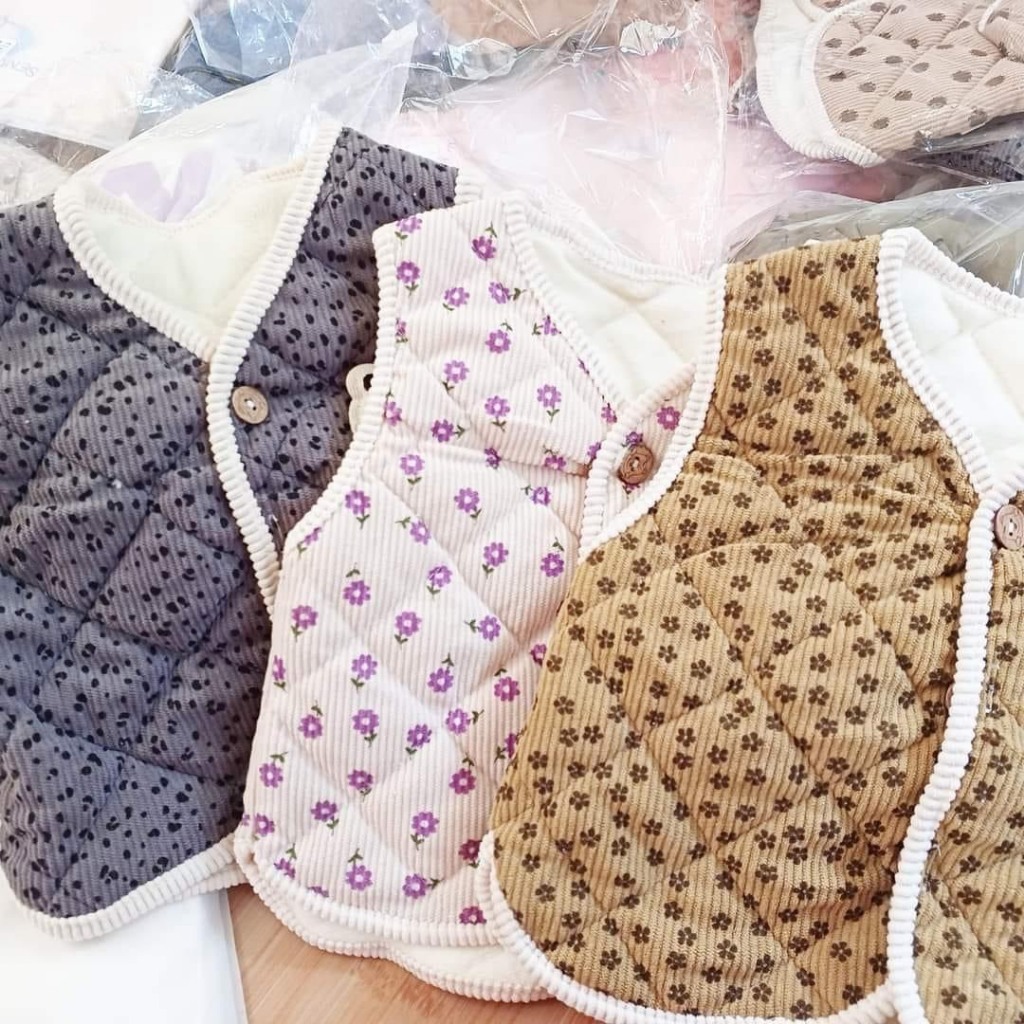 Combo 2 áo gile cho bé