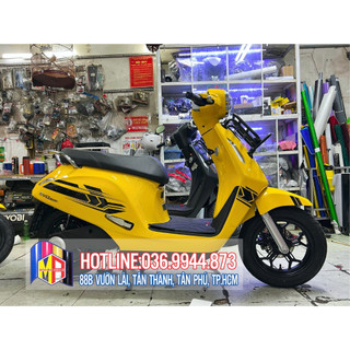 Tem evo 200 tem chỉ vector