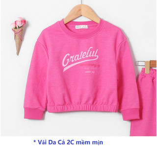 ÁoThun Dài Tay Bé Gái Ballon Cotton cao cấp [7-45kg] AA025