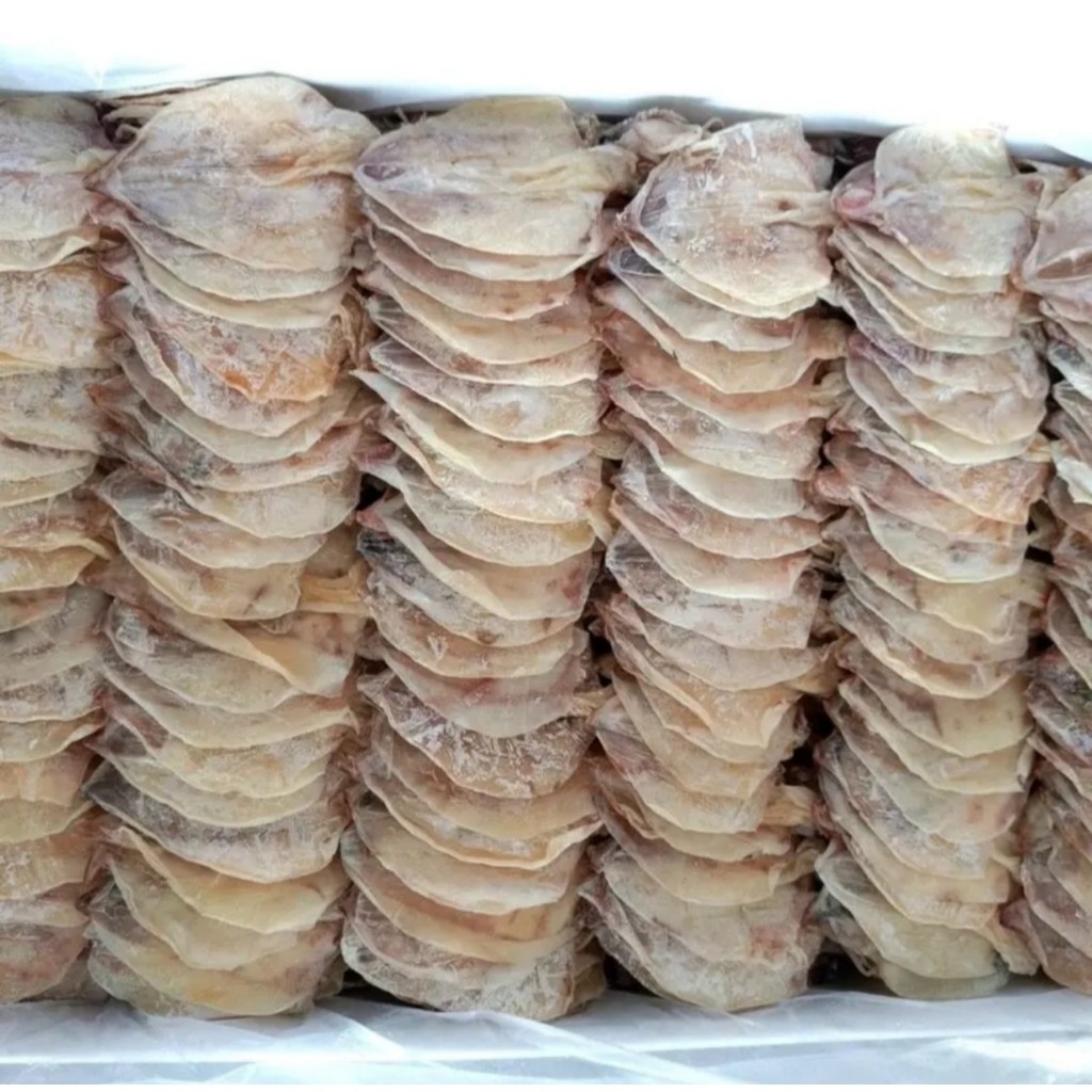 DEAL SỐC- Combo 10 Con Mực Khô Thơm Ngon, Ngọt, Dai Chỉ 52k, Hàng L1