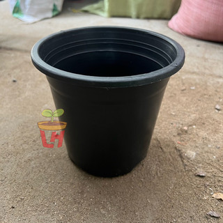 Chậu nhựa trồng cây , chậu nhựa tròn đen nhiều cỡ