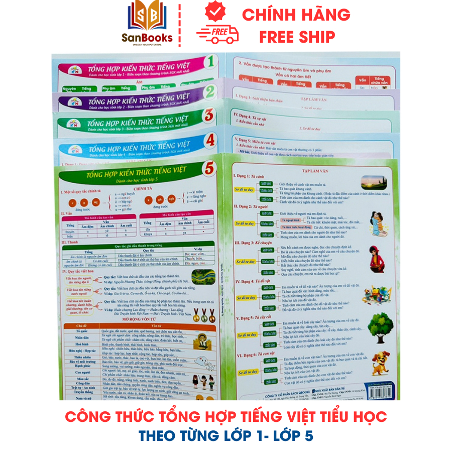 Sách - Tổng hợp kiến thức Tiếng Việt Tiểu Học theo từng lớp - in bìa cứng Sanbooks