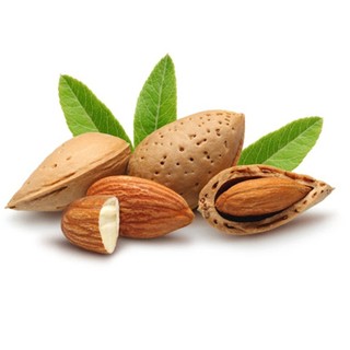 Hạt hạnh nhân nhập Mỹ (Loại Sống) 100Gr