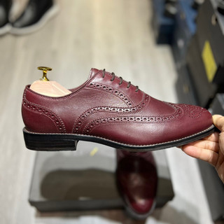 Oxford Cole Haan Wingtip