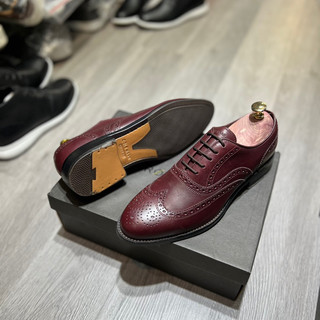 Oxford Cole Haan Wingtip