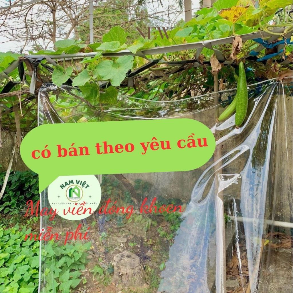 Bạt PVC Trong suốt che mưa lấy sáng độ dày 0,4mm