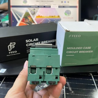 MCB DC 2P 125A 550VDC Hãng FEEO