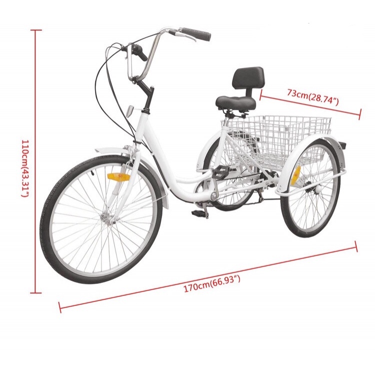 Xe đạp ba bánh cho người già có trợ lực