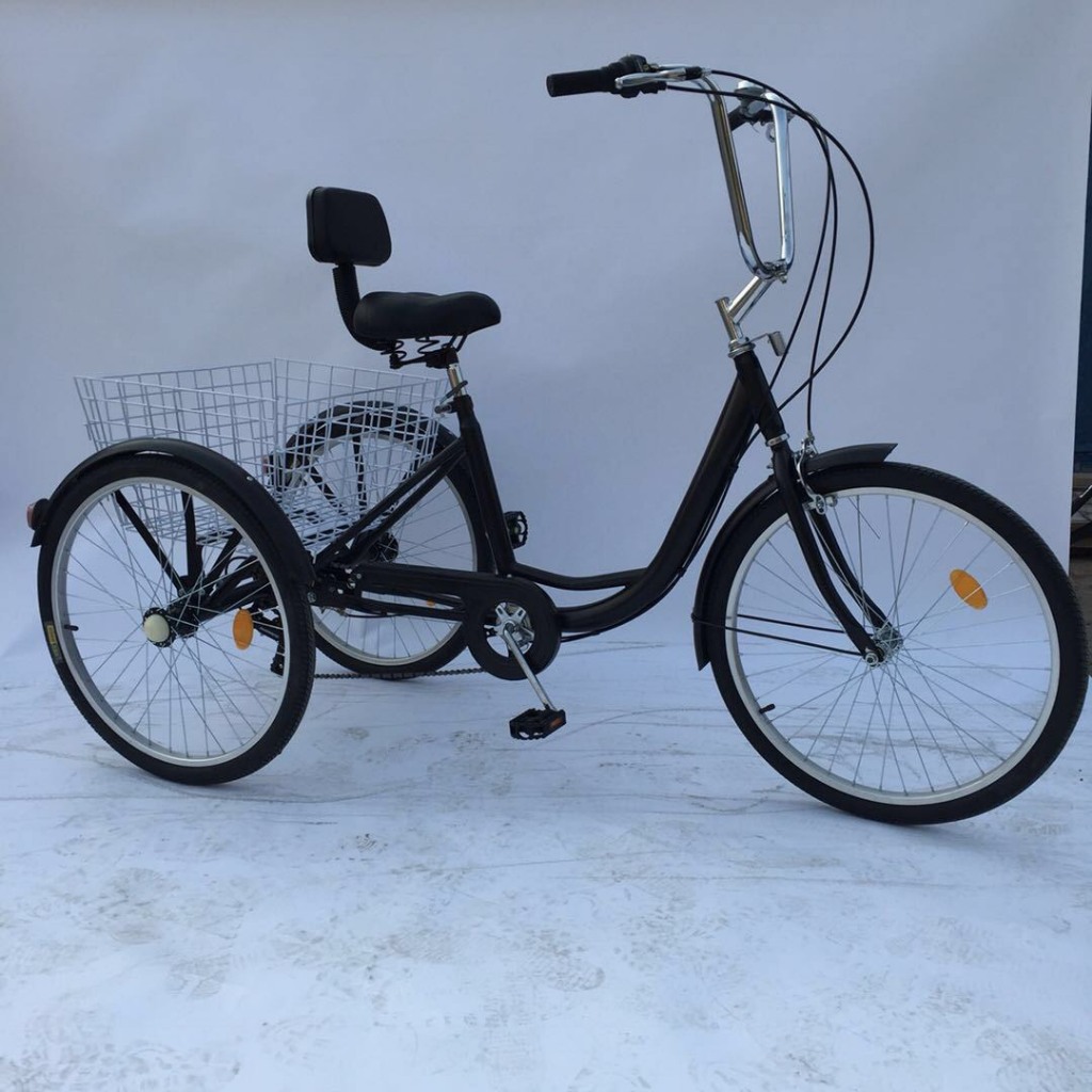 Xe đạp ba bánh cho người già có trợ lực