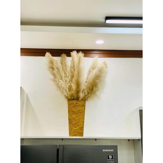 Combo 5 cành lau,cỏ lao,bông lau,hoa cỏ lau,hoa khô trang trí decor,vintage,handmade,..