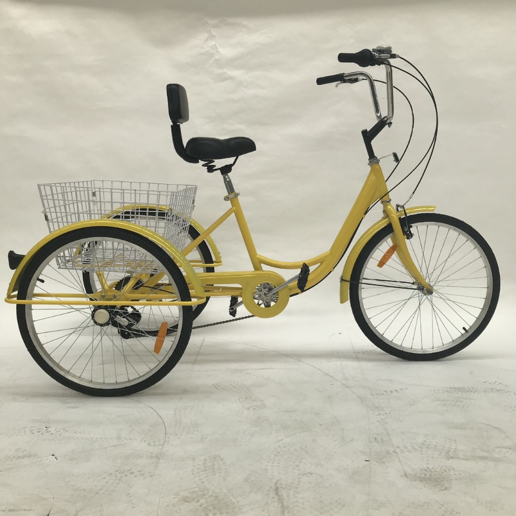 Xe đạp ba bánh cho người già có trợ lực