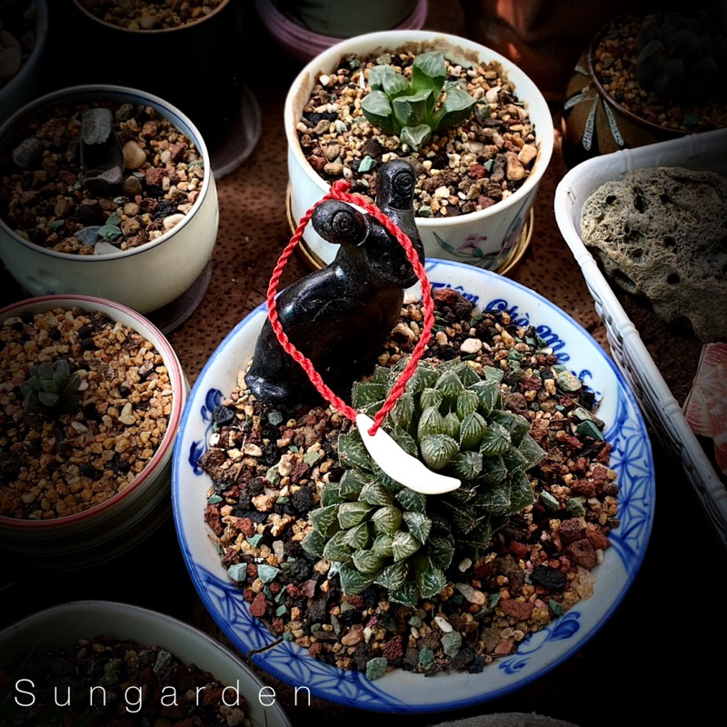 Vòng tay chỉ đỏ bình an unisex