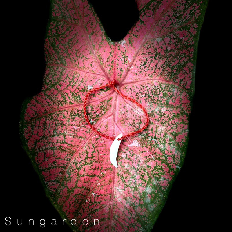 Vòng tay chỉ đỏ bình an unisex